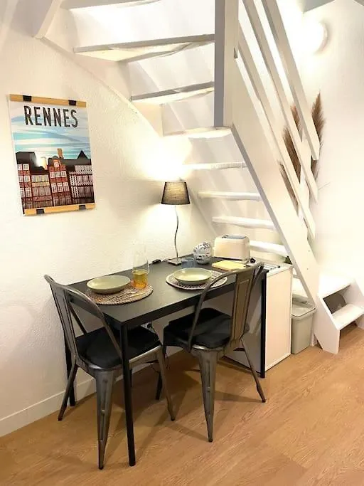 Duplex Cosy / Terrasse / Cour Interieure Apartment Rennes France